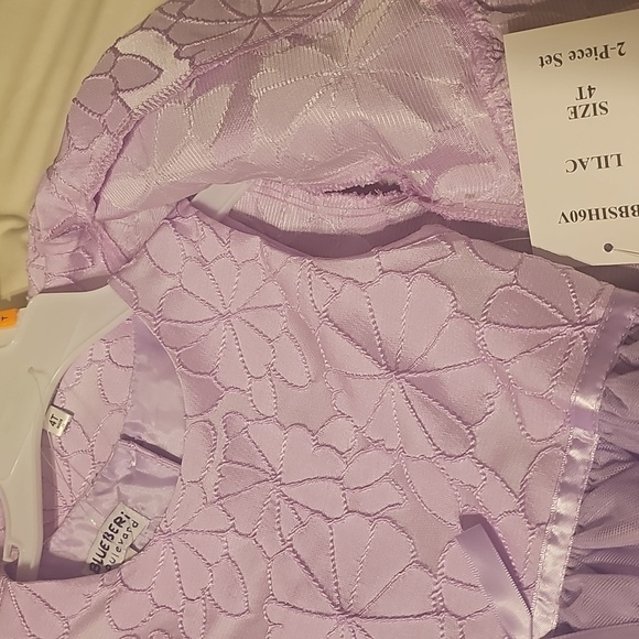 Blueberi Boulevard Coat & Dress Set 4T - Picture 4 of 4